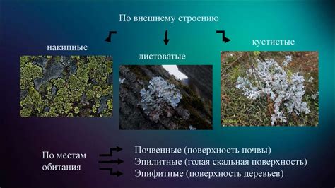 индикаторы степени загрязнения